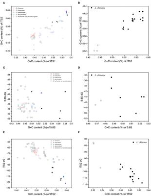 Extensive nrDNA ITS polymorphism in Lycium: Non-concerted evolution and the identification of pseudogenes